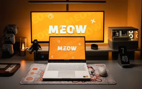 既要性能又要颜值？七彩虹MEOW R16 Ultra给出答案